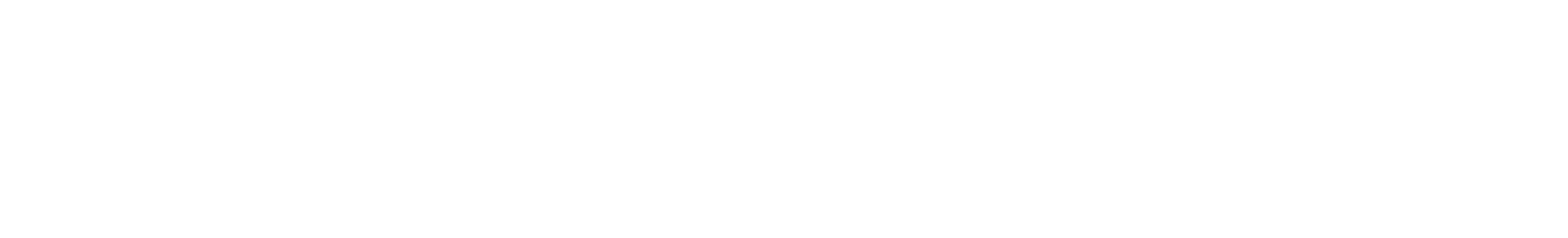 Solentik Saas Logo